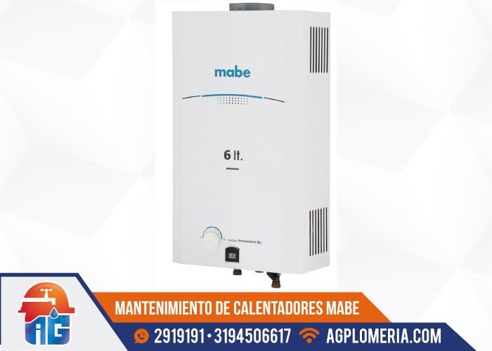 profesionales  destacados en calentadores Mabe